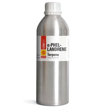 Photo of Alpha-Phellandrene